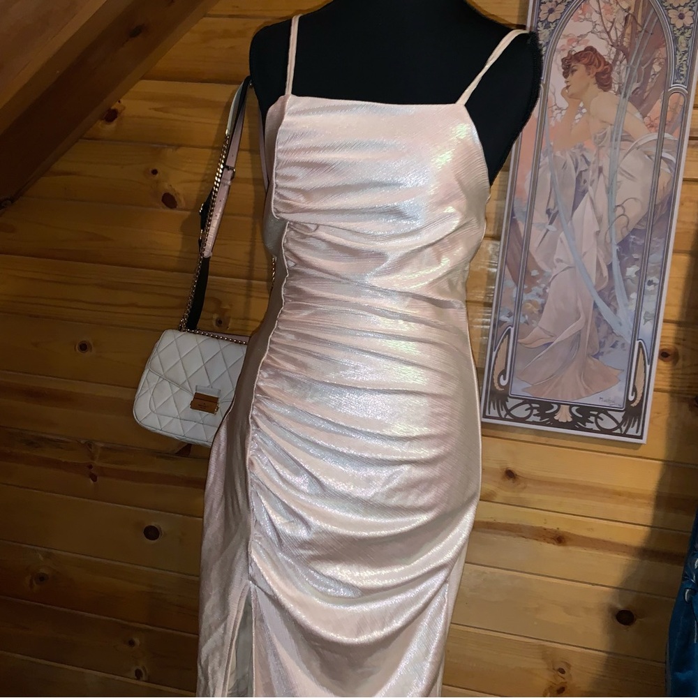 NWT Mermaid Skin Dress